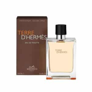 Terre D'hermes By Hermes 100ml